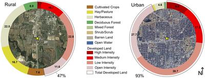 Reduced reflectance and altered color: The potential cost of external particulate matter accumulation on urban Rock Pigeon (Columba livia) feathers